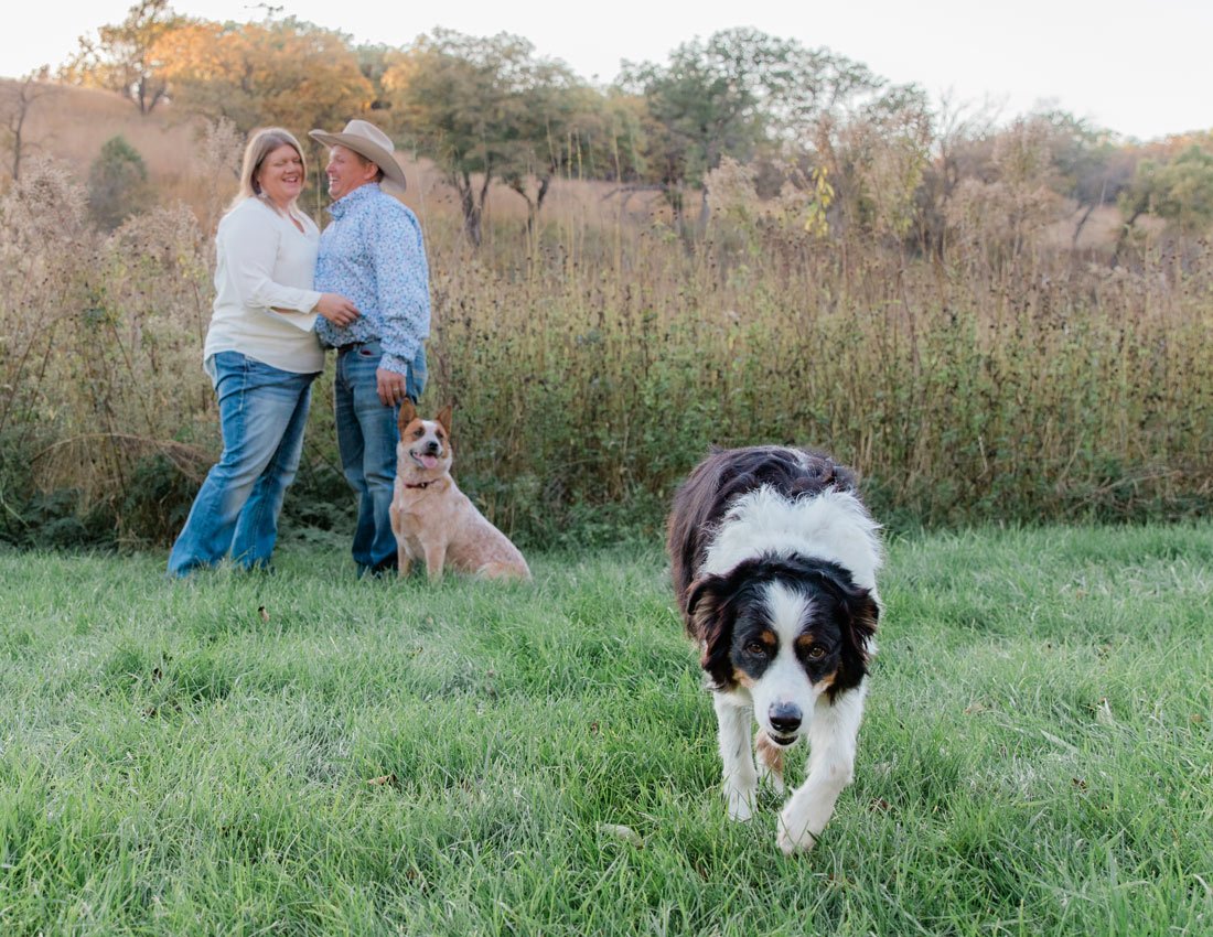 The dogs run around while we take family pictures. 